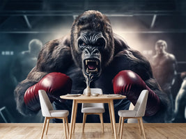 photo-wallpaper-angry-gorilla-fighting-with-boxing-gloves-gorilla-in-the-boxing-ring