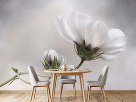 photo-wallpaper-simply-cosmos
