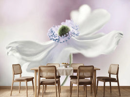 photo-wallpaper-anemone-breeze