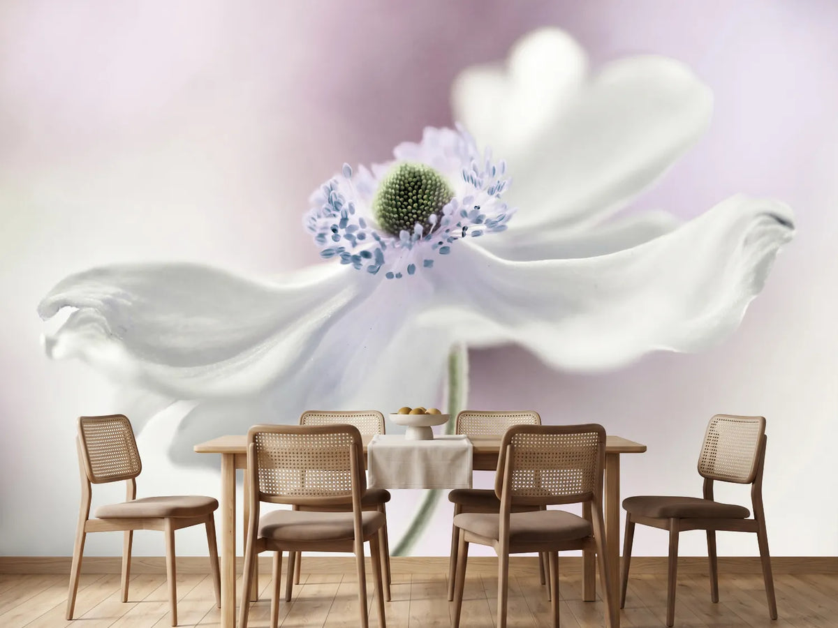 photo-wallpaper-anemone-breeze