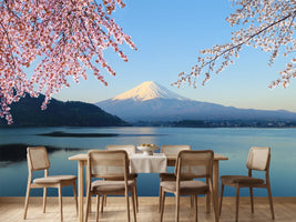 photo-wallpaper-mount-fuji-view-from-lake-kawaguchiko