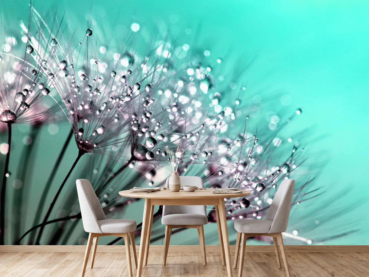 photo-wallpaper-macro-dandelion-p