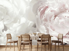 photo-wallpaper-soft-pink-peonies