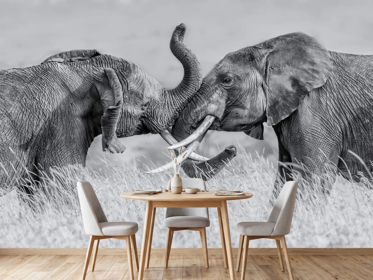 photo-wallpaper-elephant-qtai-chiq-x