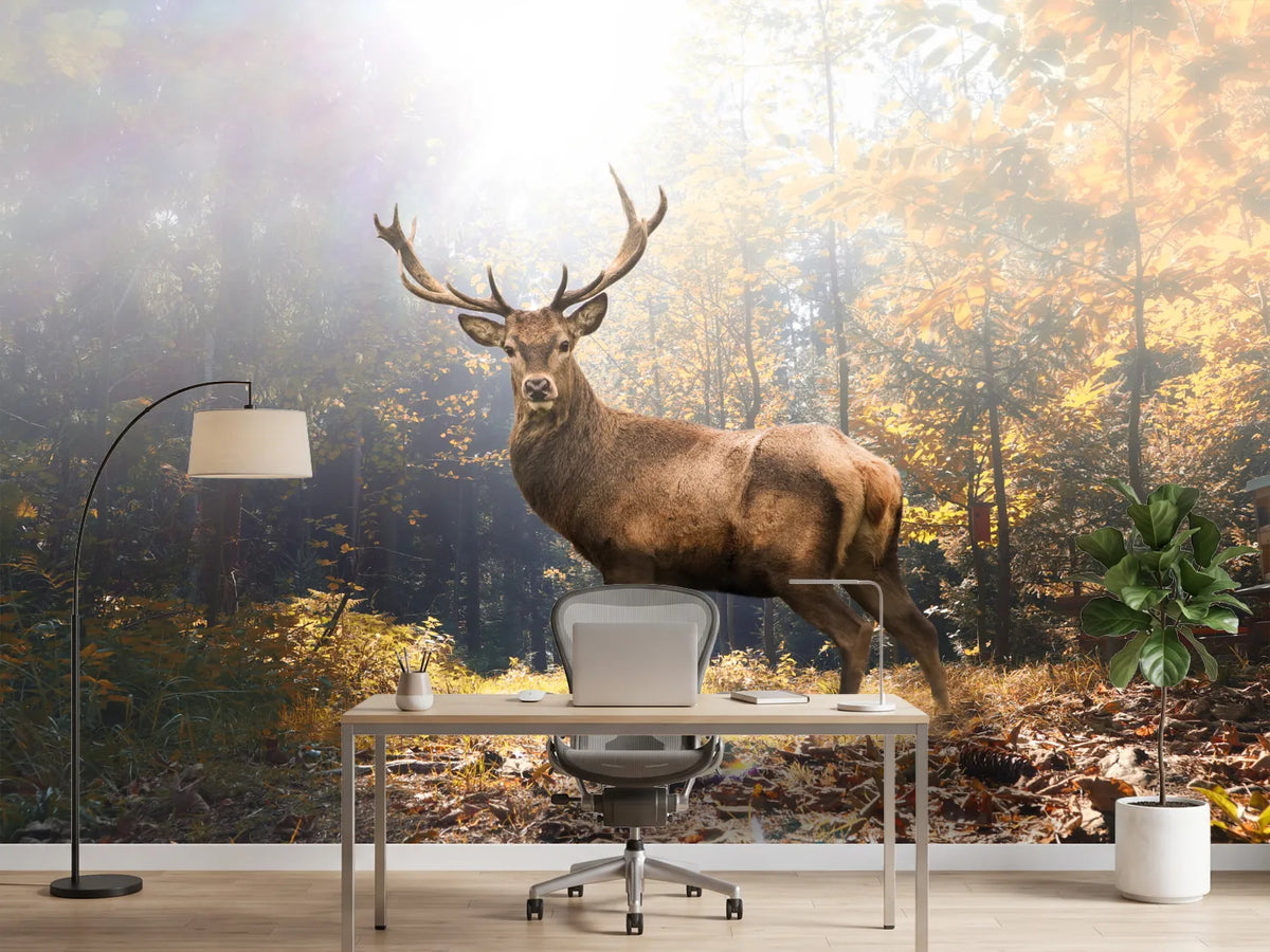 photo-wallpaper-proud-stag-in-the-autumn-forest