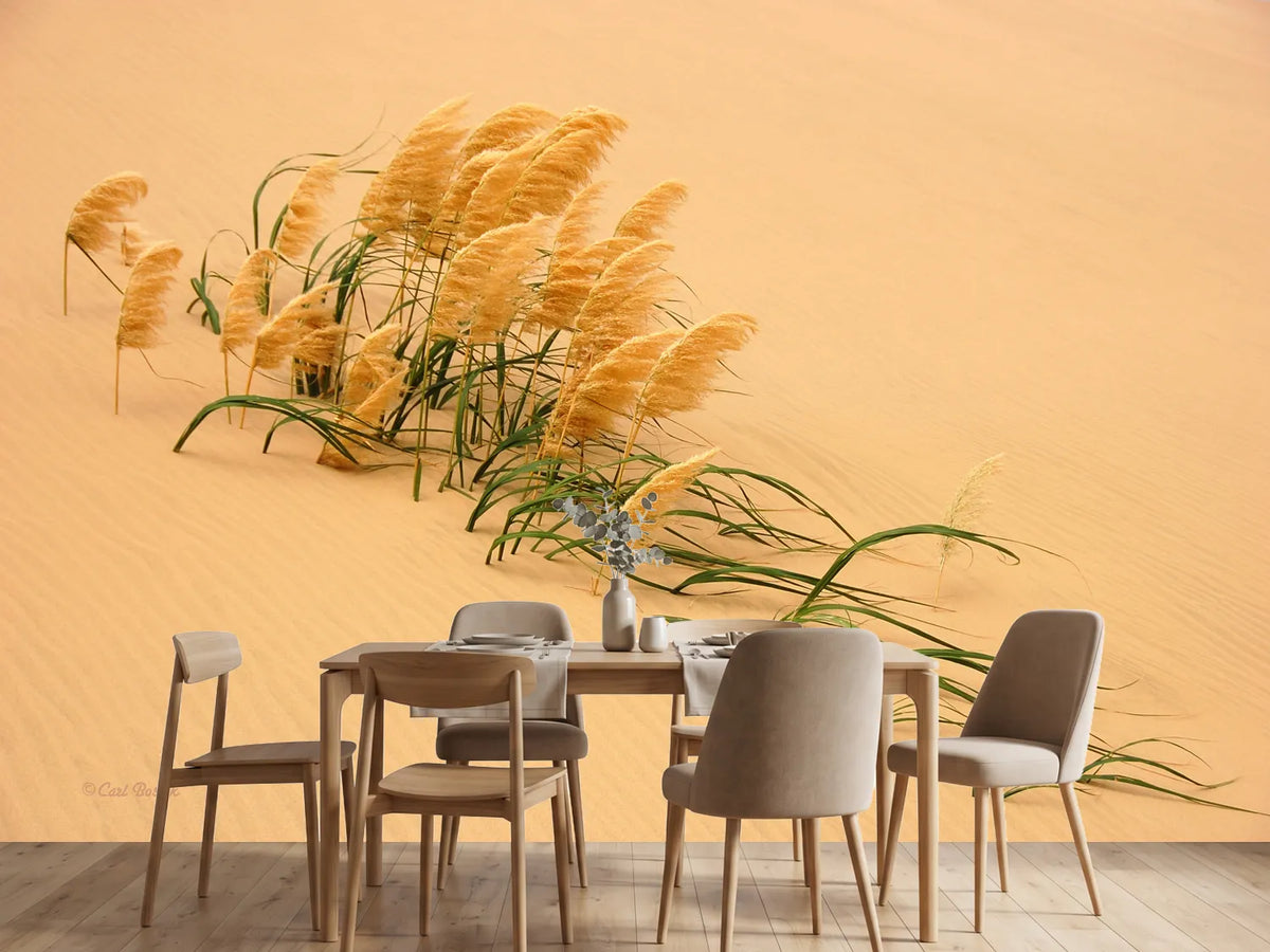 photo-wallpaper-pampas-grass-in-sand-dune-x
