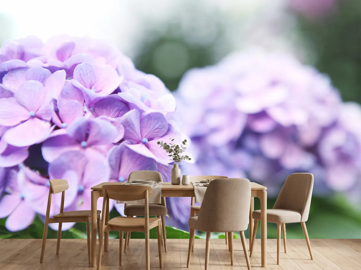 photo-wallpaper-hydrangeas