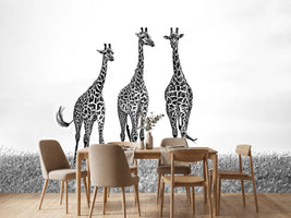 photo-wallpaper-giraffes-in-the-mara-plains-x