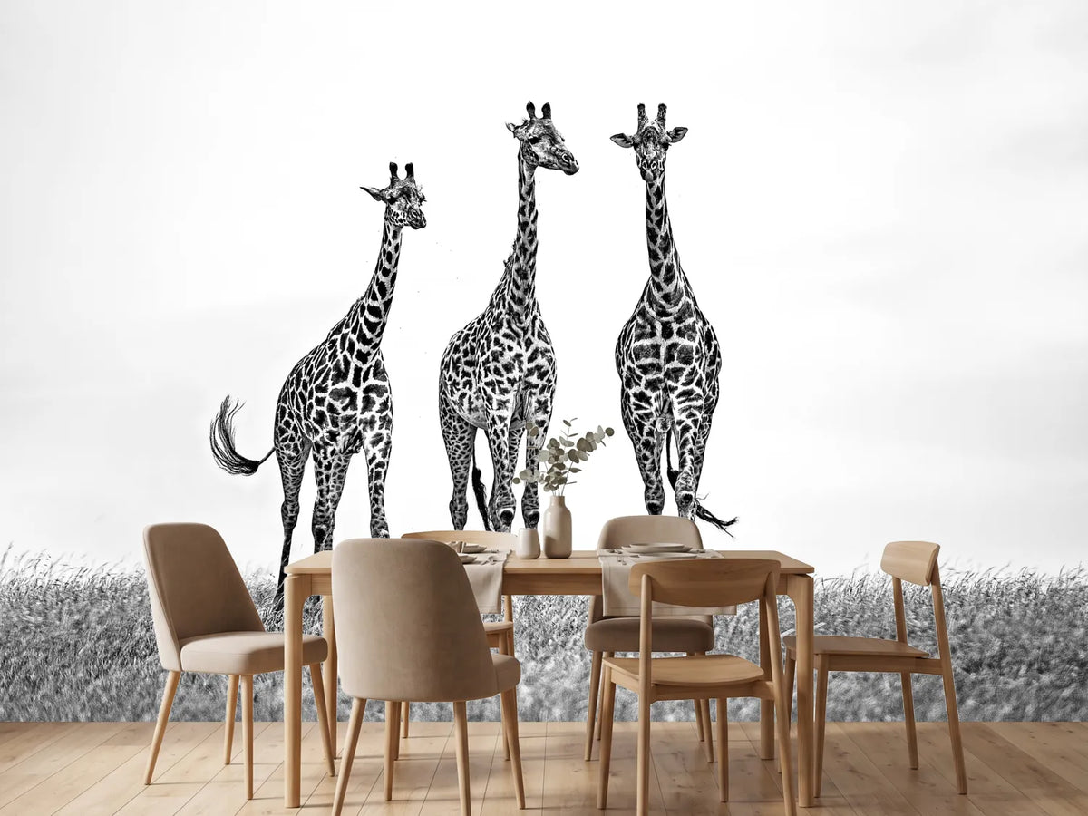 photo-wallpaper-giraffes-in-the-mara-plains-x