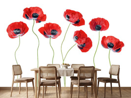 photo-wallpaper-ladybird-poppies