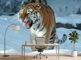 photo-wallpaper-tiger-in-the-snow