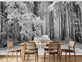 photo-wallpaper-quiet-snowy-forest
