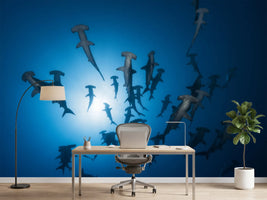 photo-wallpaper-hammerhead-sharks-in-the-light