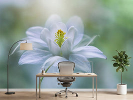 photo-wallpaper-purity-xup
