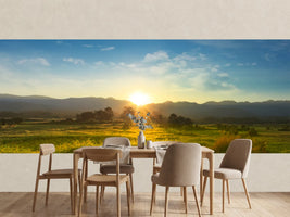 photo-wallpaper-sunset-over-vast-blossoming-meadow-landscape