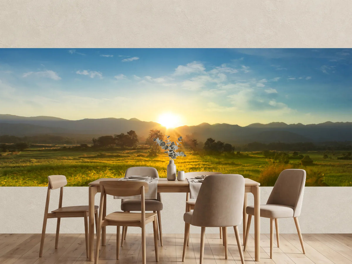 photo-wallpaper-sunset-over-vast-blossoming-meadow-landscape