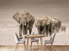 photo-wallpaper-african-elephant-procession