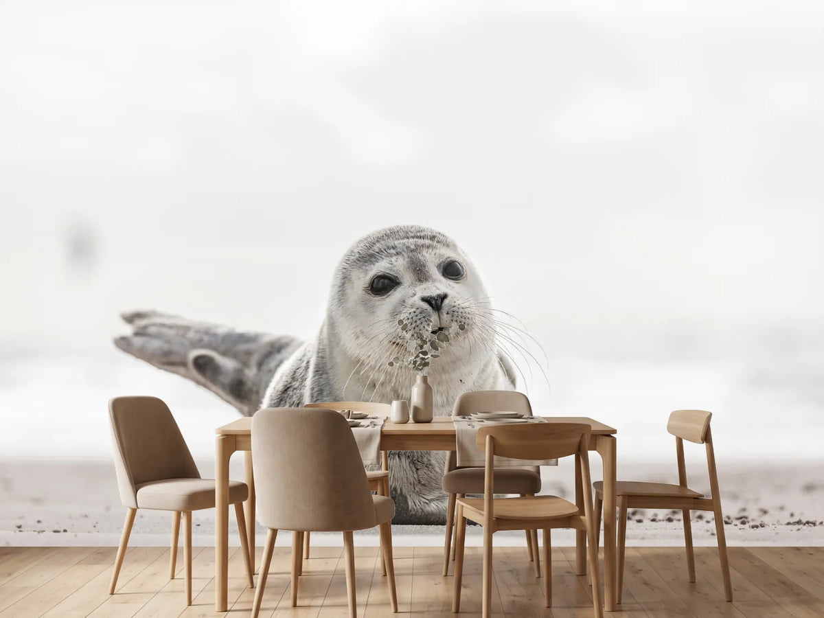 photo-wallpaper-small-seal-on-the-beach