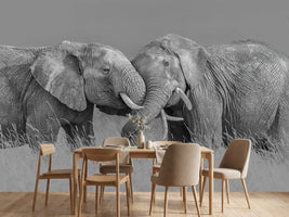 photo-wallpaper-elephant-flight