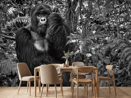 photo-wallpaper-kwitonda-silverback