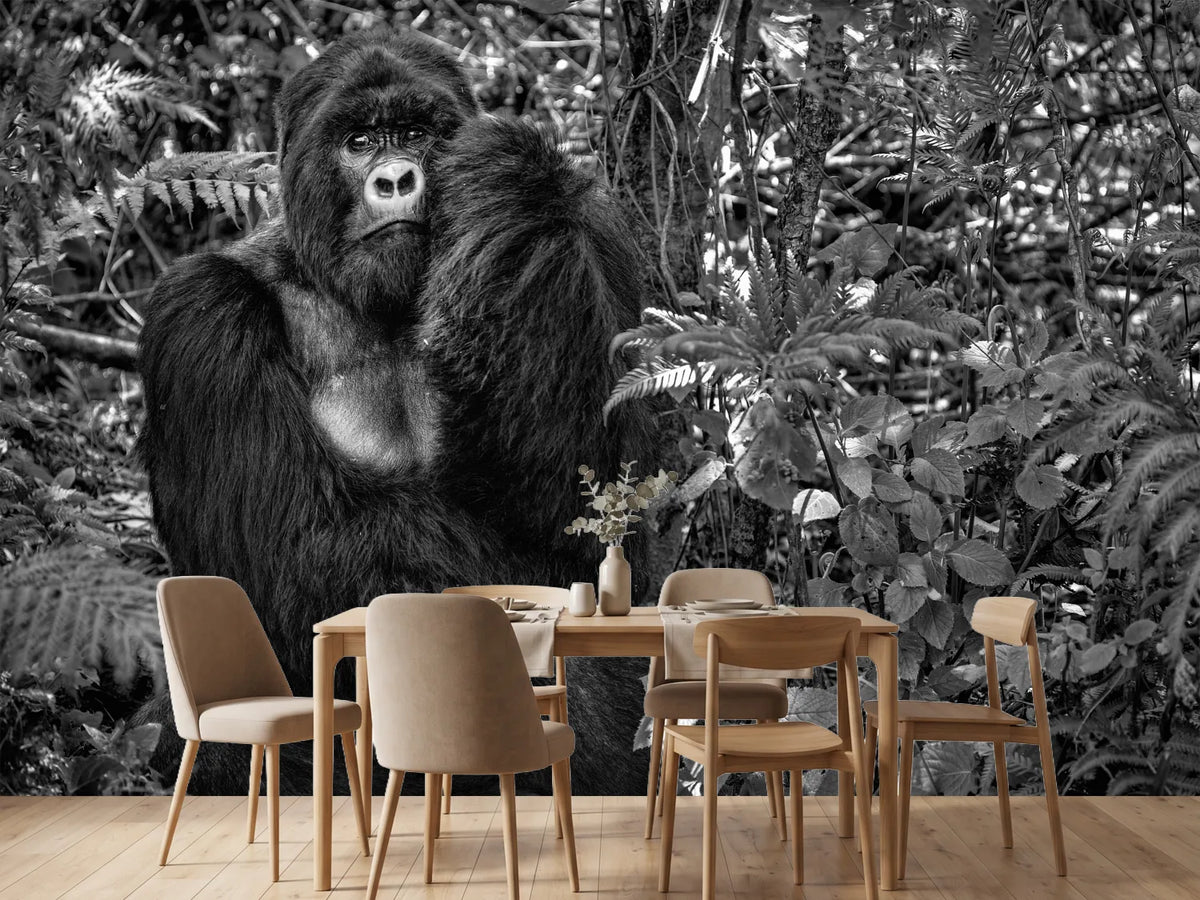 photo-wallpaper-kwitonda-silverback