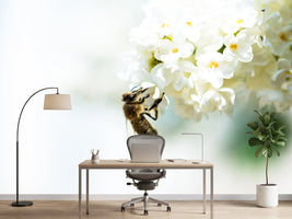 photo-wallpaper-the-bumblebee-and-the-flower
