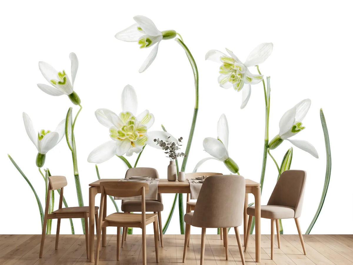 photo-wallpaper-spring-snowdrops