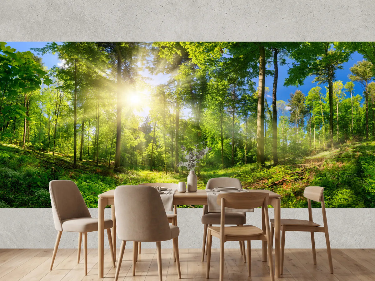 photo-wallpaper-sunlit-deciduous-woodland-with-sunbeams-through-fresh-green-leaves
