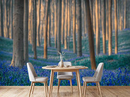 photo-wallpaper-dreams-are-made-of-these-x