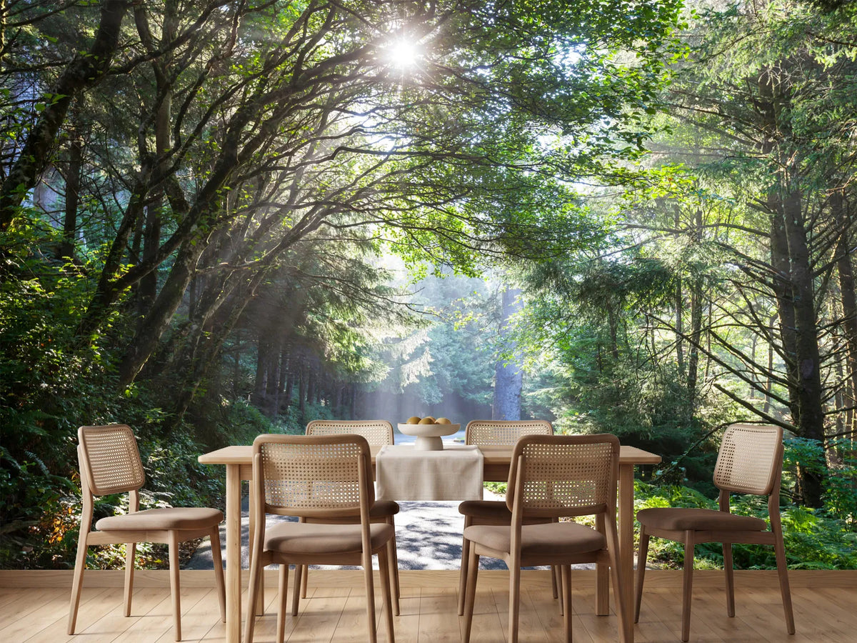 photo-wallpaper-sunny-forest-path