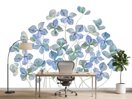 photo-wallpaper-hydrangea-xmy