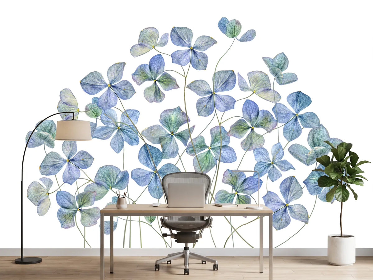 photo-wallpaper-hydrangea-xmy