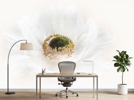 photo-wallpaper-pure-x