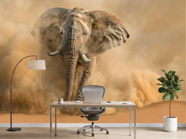 photo-wallpaper-majestic-elephant-dust-cloud