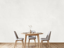 photo-wallpaper-subtle-white-texture