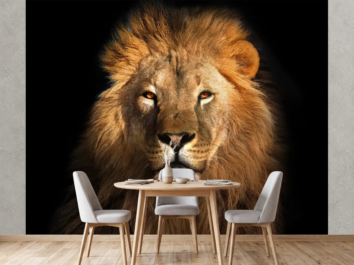 photo-wallpaper-lion-king-isolated-on-black