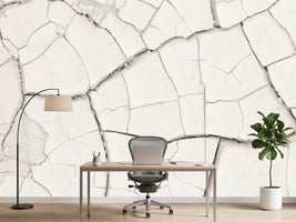 photo-wallpaper-arid-cracked-earth