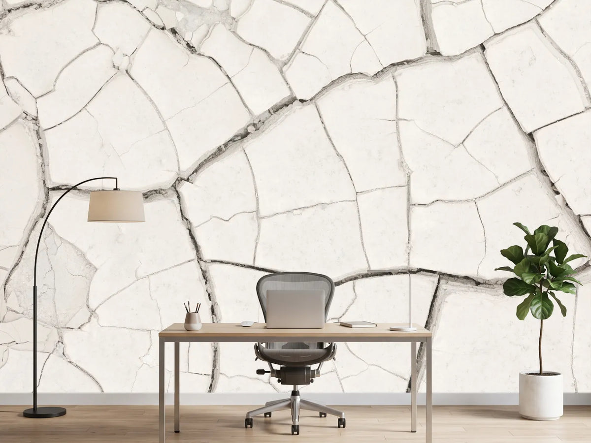 photo-wallpaper-arid-cracked-earth