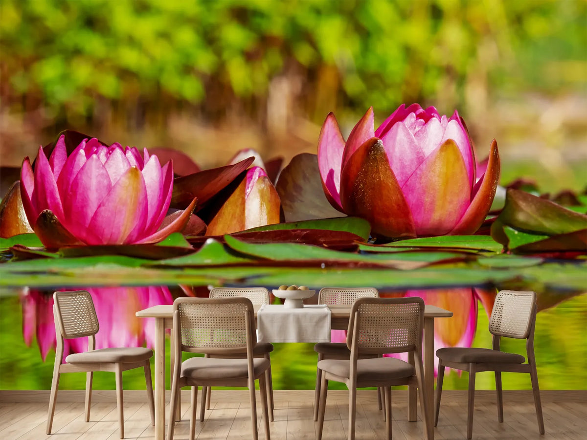 photo-wallpaper-red-water-lily-trio