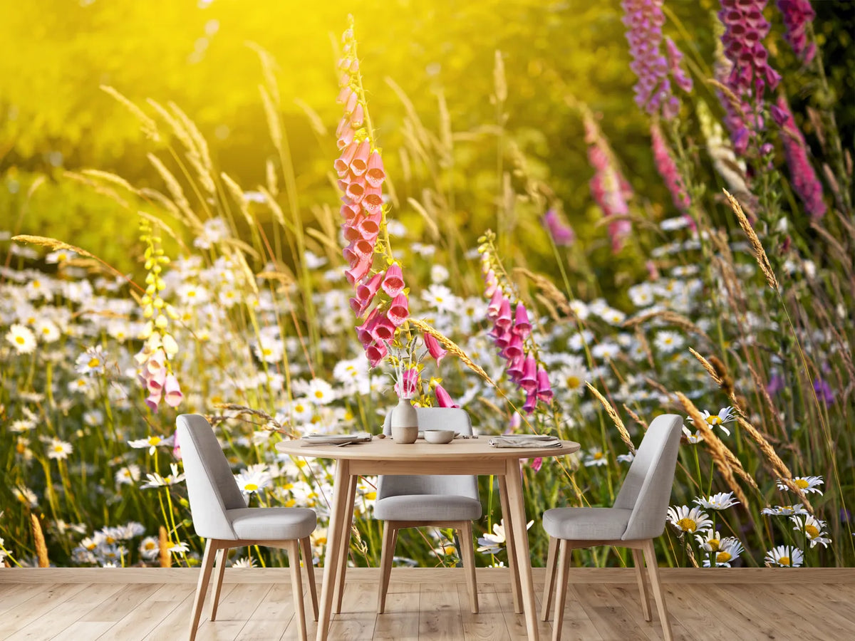 photo-wallpaper-summer-flower-meadow
