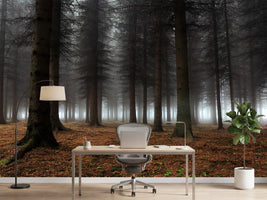 photo-wallpaper-place-of-silence-x