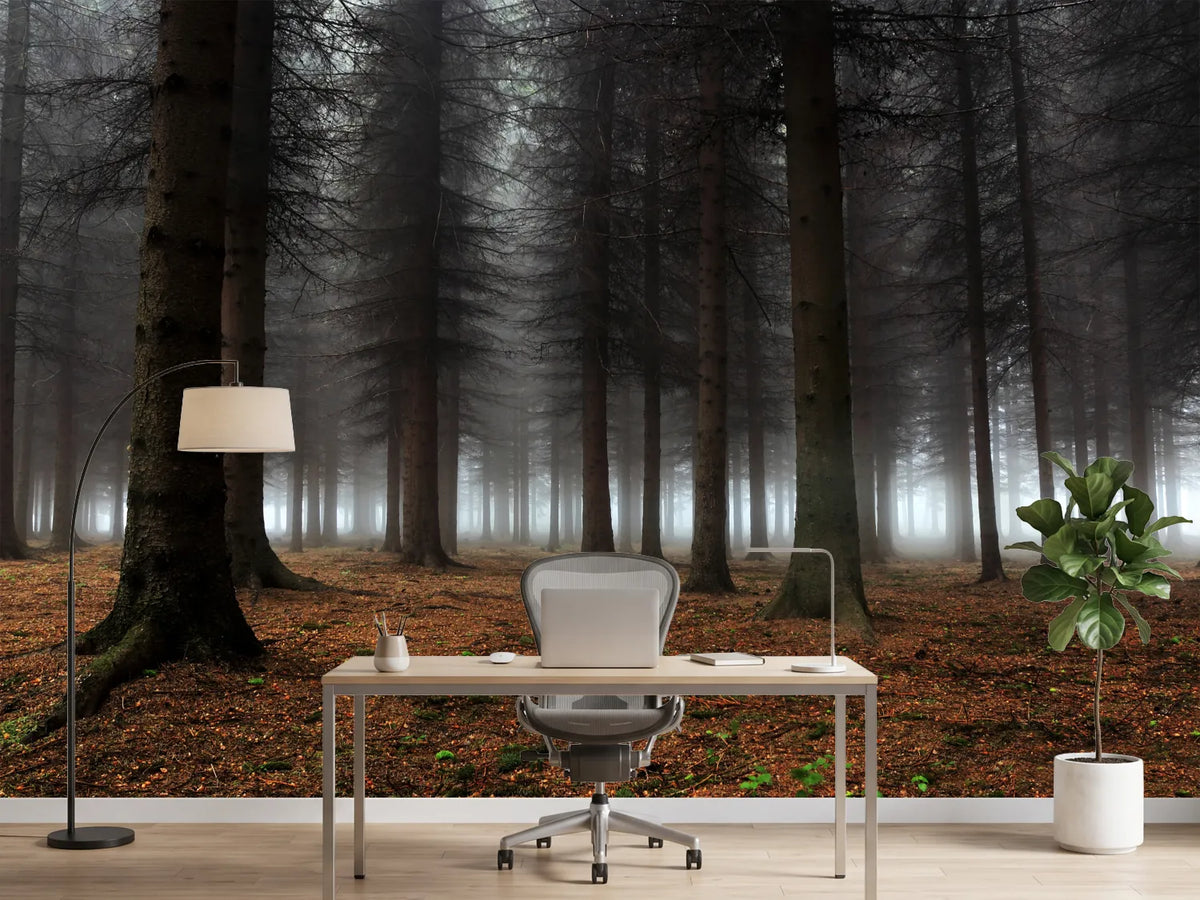 photo-wallpaper-place-of-silence-x