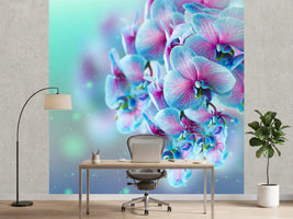 photo-wallpaper-colored-orchids