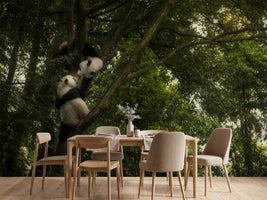 photo-wallpaper-panda-x
