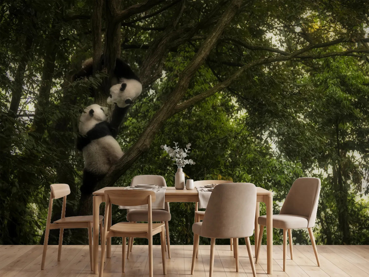 photo-wallpaper-panda-x