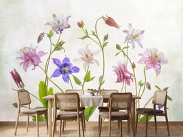 photo-wallpaper-columbine