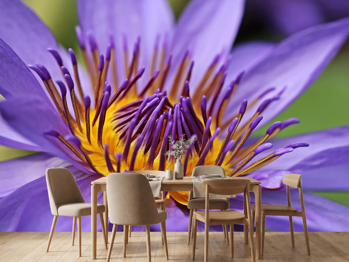 photo-wallpaper-xxl-water-lily-in-purple