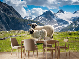photo-wallpaper-alpine-peace-in-the-alps