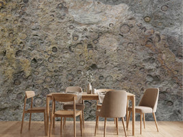 photo-wallpaper-geological-fossil-patterns