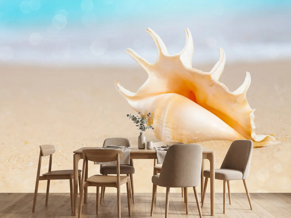 photo-wallpaper-the-shell-on-the-beach